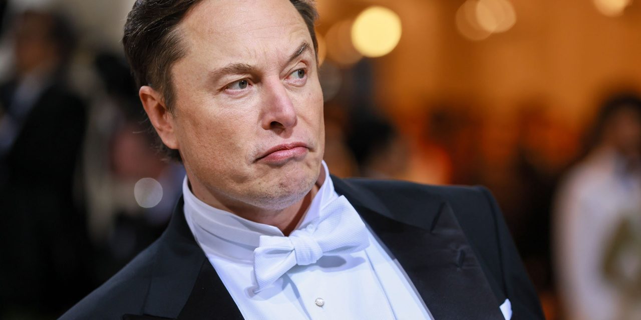 I marchi dovrebbero costringere Twitter a sostenere le politiche sui contenuti sotto Musk, affermano i gruppi di difesa