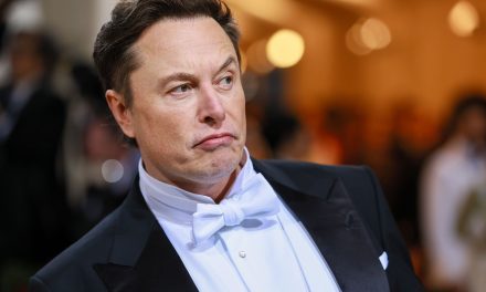 I marchi dovrebbero costringere Twitter a sostenere le politiche sui contenuti sotto Musk, affermano i gruppi di difesa