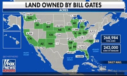 Accaparramento di terreni di Bill Gates